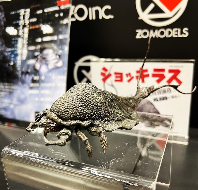 ワンダーフェスティバル2022〈夏〉ありがとうございました!